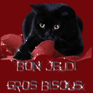 bon jeudi à tous !!